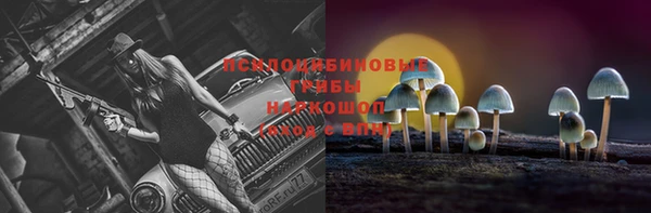 тгк Кулебаки