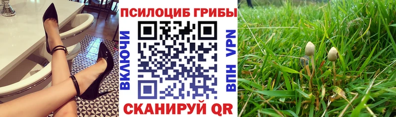 Купить  Чебоксары  Псилоцибиновые грибы Psilocybine cubensis 